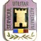 INSIGNA SERVICIUL UTILITAR ALTERNATIV DIMENSIUNI MARI 35/27 MM