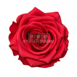 Trandafiri Criogenati PREMIUM DARK PINK (&Oslash;7-8,5cm; 4 buc /cutie)
