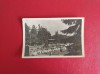 CARTE POSTALA - RPR - SOVATA - VEDERE DIN PARC, Circulata, Fotografie