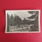 CARTE POSTALA - RPR - SOVATA - VEDERE DIN PARC