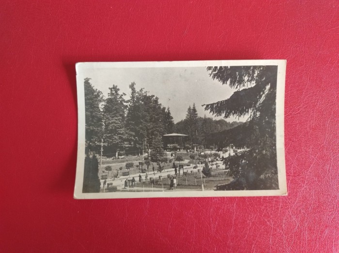 CARTE POSTALA - RPR - SOVATA - VEDERE DIN PARC