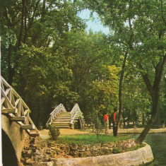 CPI B 11259 CARTE POSTALA - BOTOSANI. VEDERE DIN PARCUL MIHAI EMINESCU