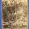 Manastirea Tismana - judetul Gorj - 1927 - printata, circulata, timbru