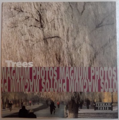 TREES , MAGNUM PHOTOS , 1998 foto