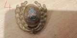 QW14 - Emblema militara / cuc - uscat - comunism - piesa de colectie