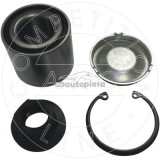 Set rulment roata OPEL CORSA C (F08, F68) (2000 - 2009) AIC 55007