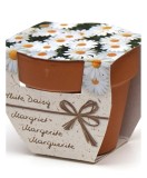 Greengift Terracotta Terracotta Margriet Kit Gradinarit