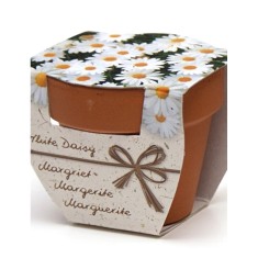 Greengift Terracotta Terracotta Margriet Kit Gradinarit