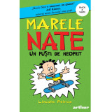 Marele Nate #3. Un puști de neoprit | paperback - Lincoln Peirce