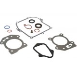 Cumpara ieftin Set Garnituri Motor Briggs and Straton (Seriile 450, 500, 550 OHV)