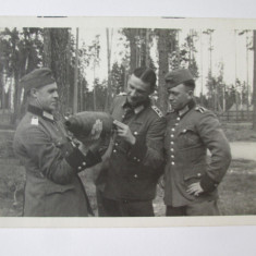 Foto originala 129 x 89 mm ofiteri nazisti examinand un obuz in Basarabia 1943?