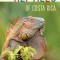 Reptiles of Costa Rica: A Field Guide