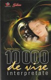 PAMELA BALL - 10 000 DE VISE INTERPRETATE
