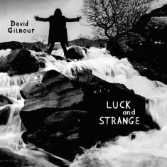 David Gilmour Luck and Strange Sea Blue Translucent LP (vinyl) foto