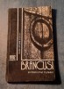 Brancusi simbolismul Hylesic Matei Stircea Craciun