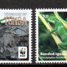 TONGA 2016, Fauna - WWF, serie neuzată, MNH