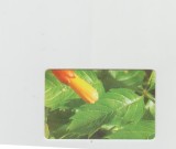 bnk card Cartele telefonice - Romania Romtelecom 2005 - Flowers - Puzzle 1/4 - Col:RO-ROM-0283A