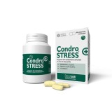 Cumpara ieftin CondroSTRESS+, 90 tablete, Innovet