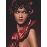 Graphis Photography Annual 2009 - Pederson