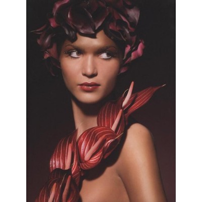 Graphis Photography Annual 2009 - Pederson foto