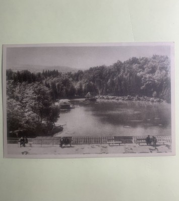 Carte poștală Sovata-lacul Ursu RPR foto