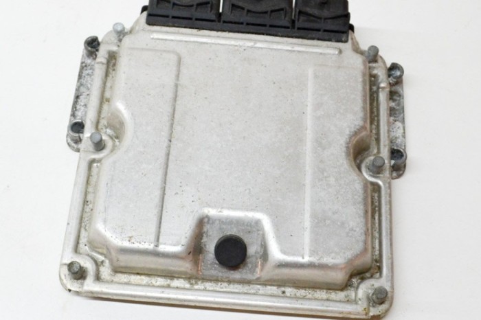 Unitate de control motor RENAULT ESPACE IV JK0/1_ 2003 OEM: 8200309321,0281011324,1039s01857,8200309316 13827656