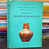 NEOLITICUL BANATULUI - Gheorghe Lazarovici - Muzeul de Istorie al Transilvaniei Cluj-Napoca, 1979