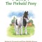 Percy the Piebald Pony