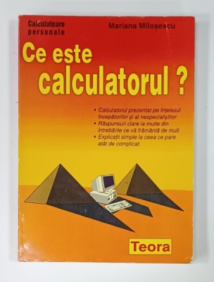 CE ESTE CALCULATORUL ? de MARIANA MILOSESCU , 1996 foto