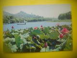 HOPCT 5596 FLORI DE LOTUS[NUFERI] LACUL DE VEST -CHINA -ASIA-NECIRCULATA