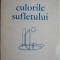 Culorile sufletului &ndash; Ion Petrache