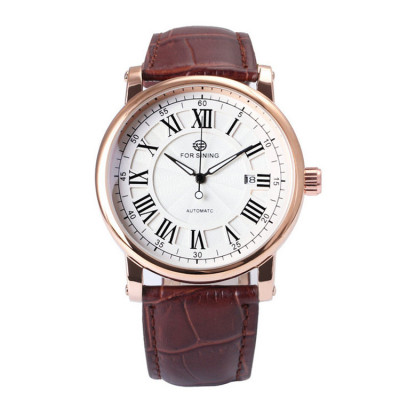 Ceas barbatesc de mana Forsining Mecanic Automatic Analog Clasic Elegant Luxury Business Retro Vintage Fashion Casual Maro Auriu foto