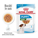 Cumpara ieftin Royal Canin Mini Puppy hrana umeda caine junior (in sos), 12 x 85 g