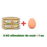 5 KG Stimulator pentru ouat + Ou fals de gaina