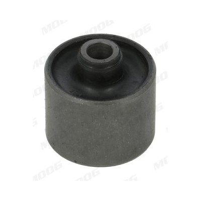 Moog suport, ax foto