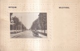 Botosani. Bulevardul (circulata 1929)