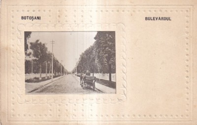 Botosani. Bulevardul (circulata 1929) foto