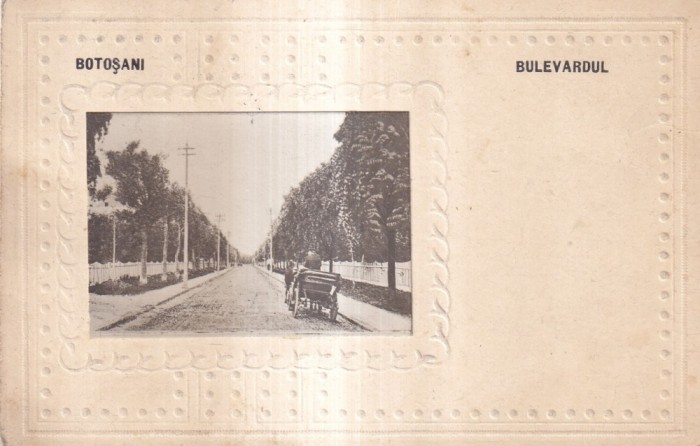 Botosani. Bulevardul (circulata 1929)