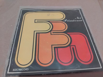 Disc vinil FFN foto