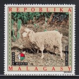 Madagascar 1972 - Oaie, mohair, neuzat