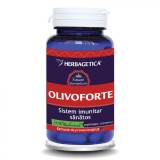 Olivo Forte 60 capsule Herbagetica Supliment Alimentar Imunostimulant