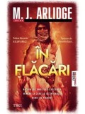 Cumpara ieftin In flacari/M.J. Arlidge