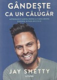 Jay Shetty - Gandeste ca un calugar. Antreneaza-ti mintea pentru a-ti gasi