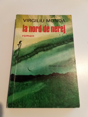 VIRGILIU MONDA - LA NORD DE NEREJ foto