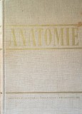 Anatomie Angiologia Glandele endocrine Sistemul nervos si Organele de simt E. Repciuc - 1966