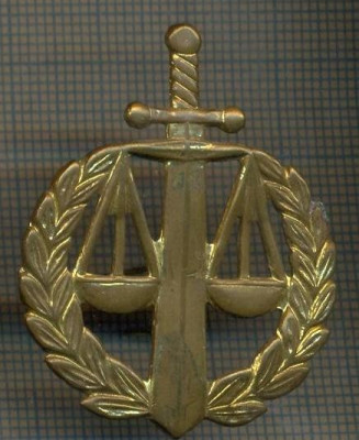 Y 1538 INSIGNA- MILITARA -SEMN DE ARMA - JUSTITIE MILITARA -PENTRU COLECTIONARI foto