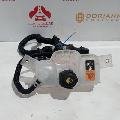 Vas expansiune Nissan Qashqai 1.5 TD 2019 foto
