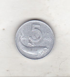 bnk mnd Italia 5 lire 1955 , delfin