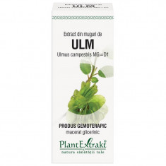 Extract Muguri Ulm 50ml PlantExtrakt