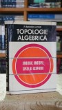 Topologie algebrica. Omologie, omotopie, spatii de acoperire - I. Pop, R. Miron
